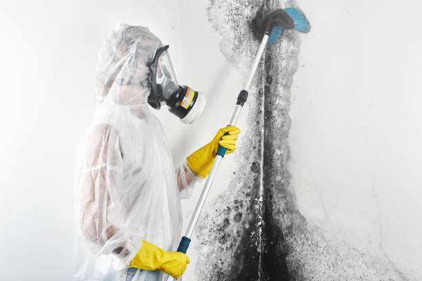 Best Forensic Mold Investigation  in Gardnerville Ranchos, NV