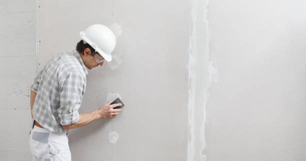 Best Real Estate Mold Inspection  in Gardnerville Ranchos, NV