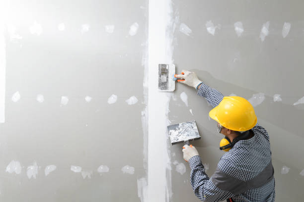 Best Real Estate Mold Inspection  in Gardnerville Ranchos, NV