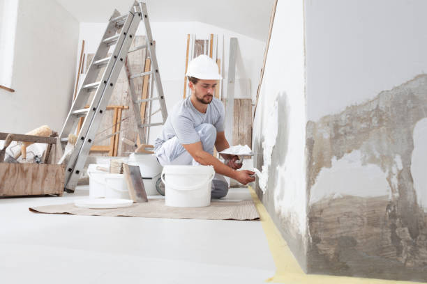 Best Residential Mold Inspection & Testing  in Gardnerville Ranchos, NV