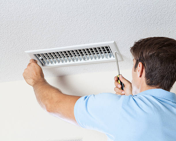 Best Mold Damage Restoration  in Gardnerville Ranchos, NV