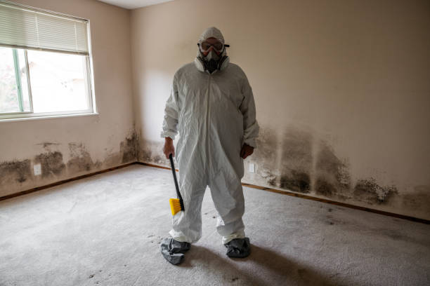 Best HVAC Mold Inspection and Cleaning  in Gardnerville Ranchos, NV