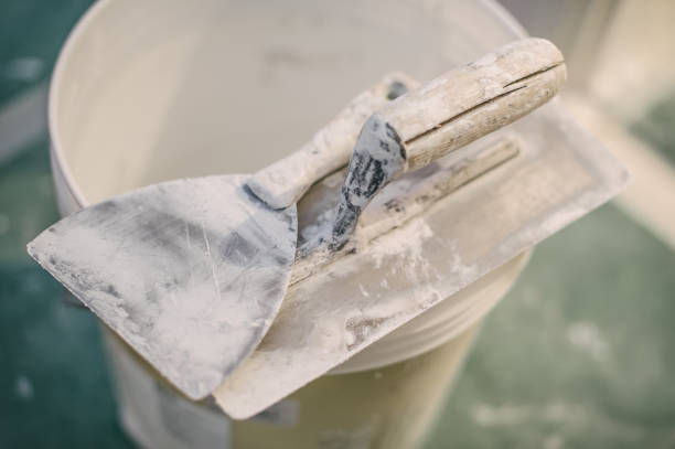 Best Airborne Mold Testing  in Gardnerville Ranchos, NV